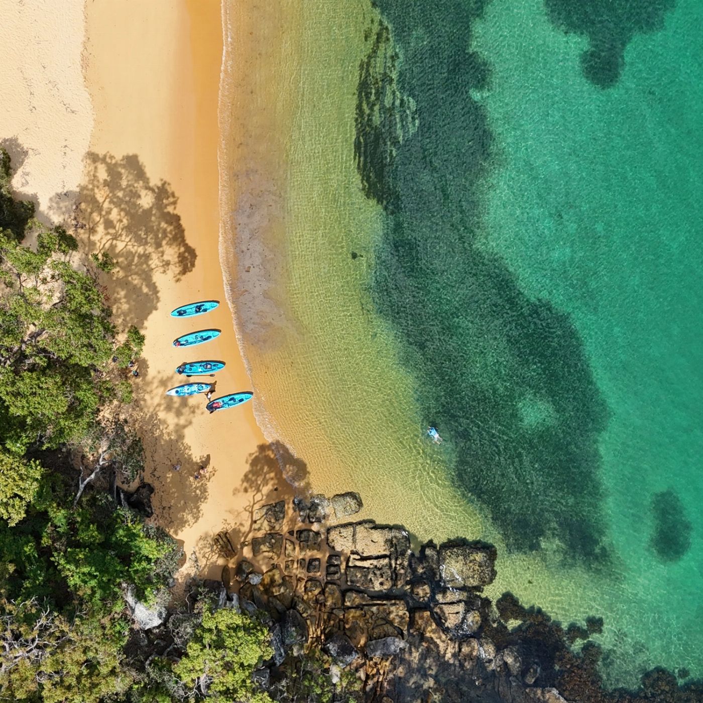 Manly Sailing Guided Kayak Tour
