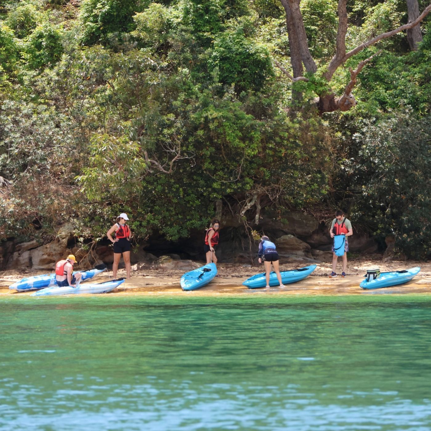 Manly Sailing Guided Kayak Tour