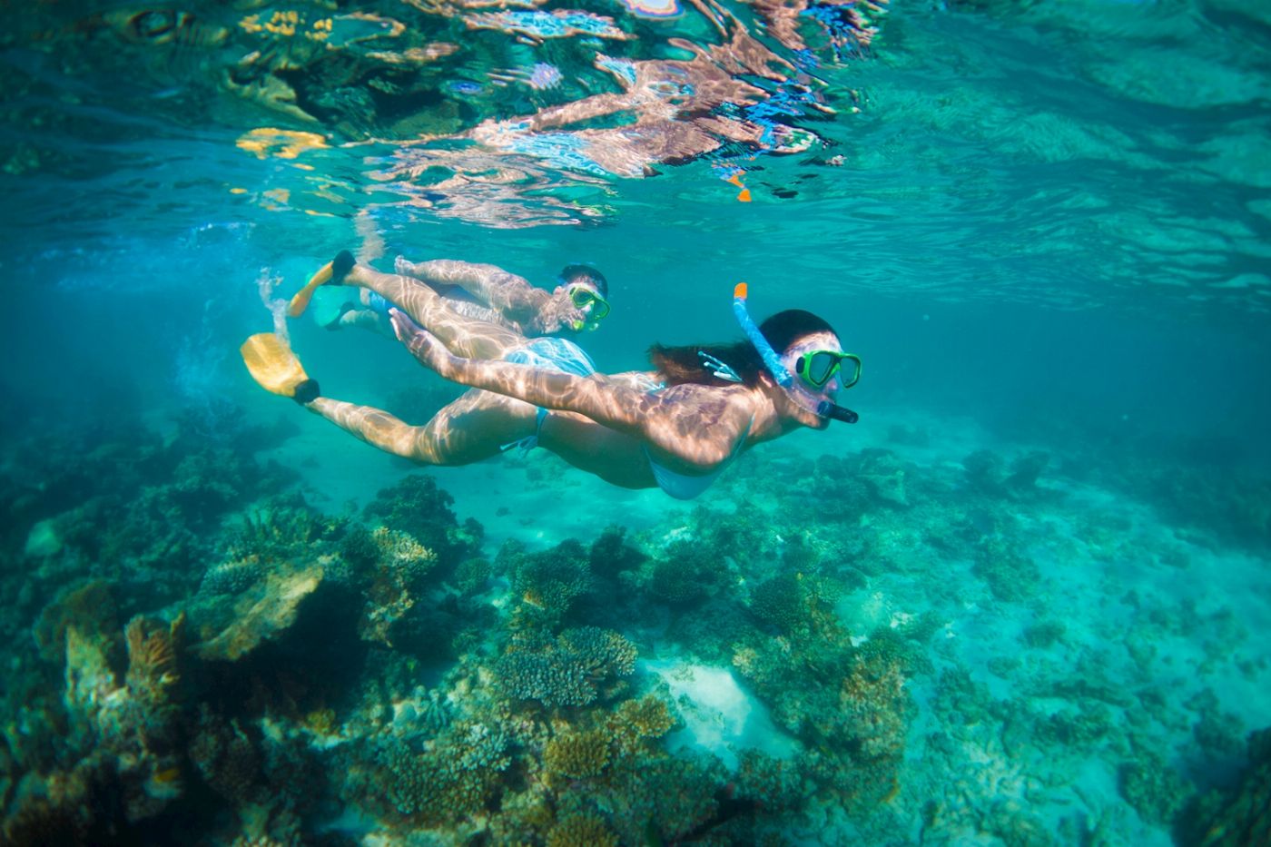 Autopia Tours 6 Day Perth to Exmouth Coral Coaster - Standard Double/Twin Room