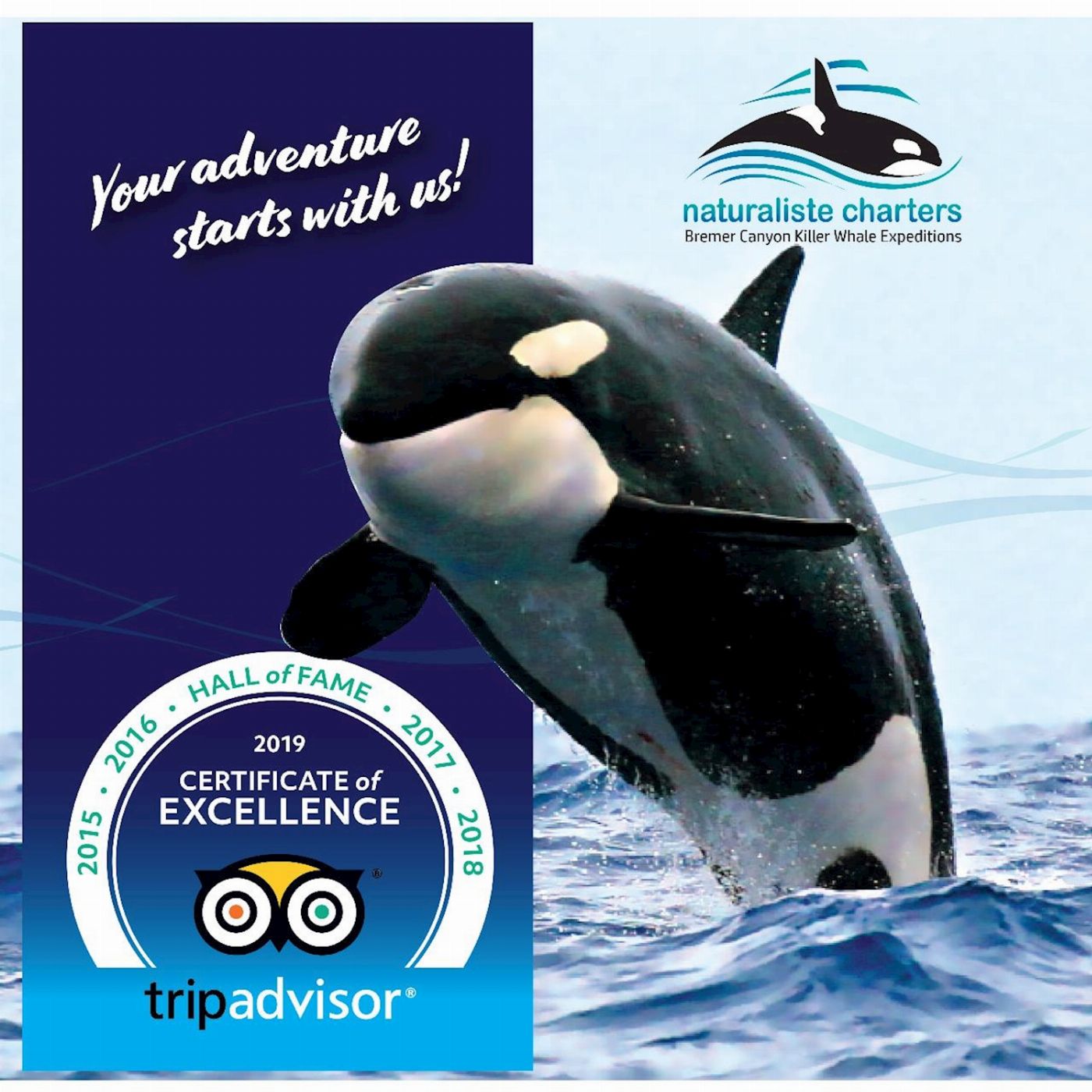 Naturaliste Charters Bremer Canyon Killer Whale Expedition (3 Day Pass)