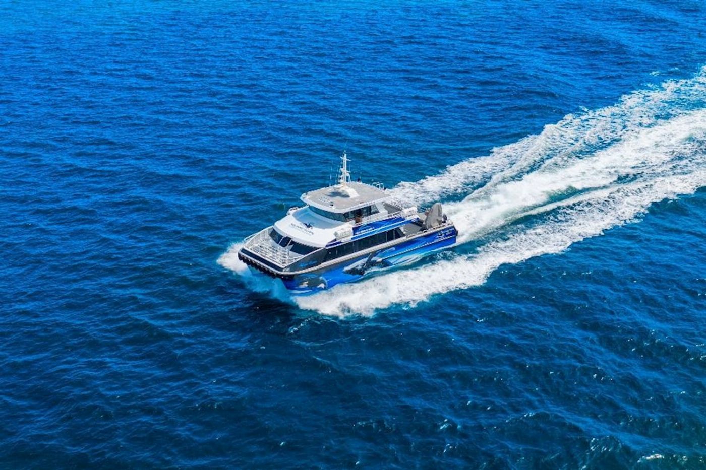Naturaliste Charters Dunsborough Whale Watching Eco Tours
