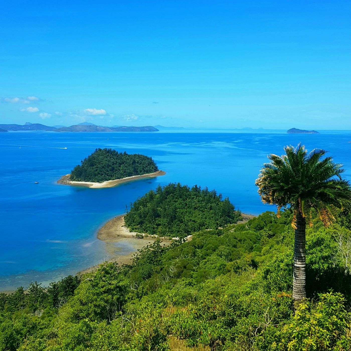 Bike and Hike Whitsunday South Molle Island Experience (Bring My Own Bike)