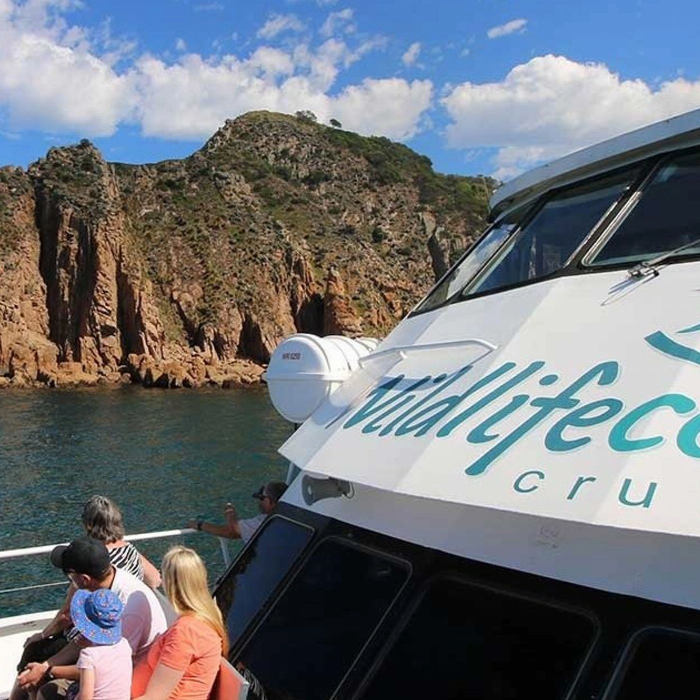 Wildlife Coast Cruises Cape Cruise