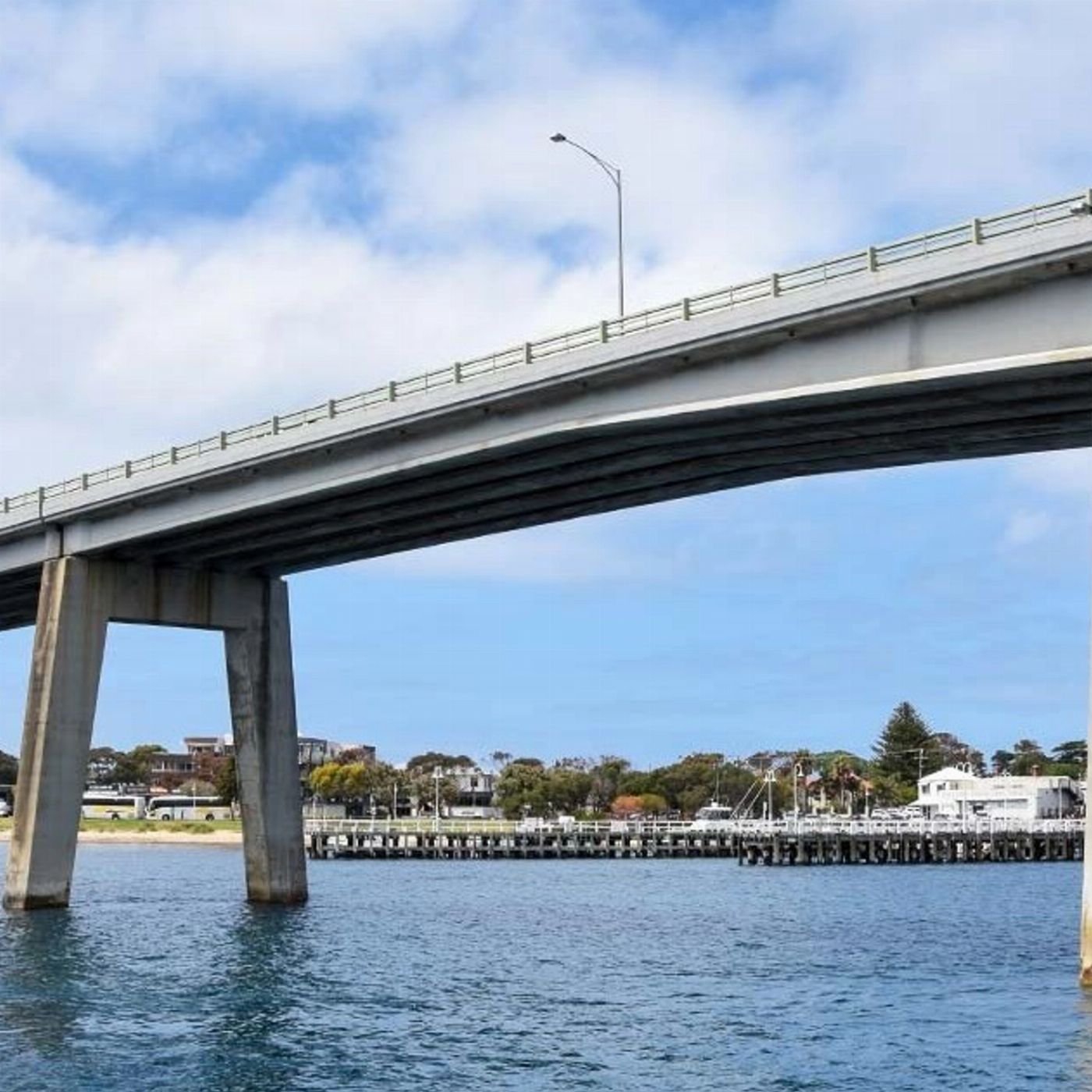 Wildlife Coast Cruises Cape Cruise