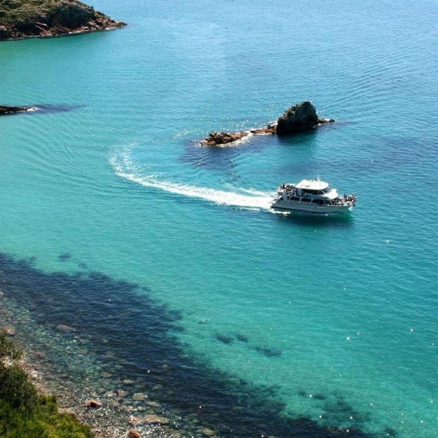 Wildlife Coast Cruises Cape Cruise