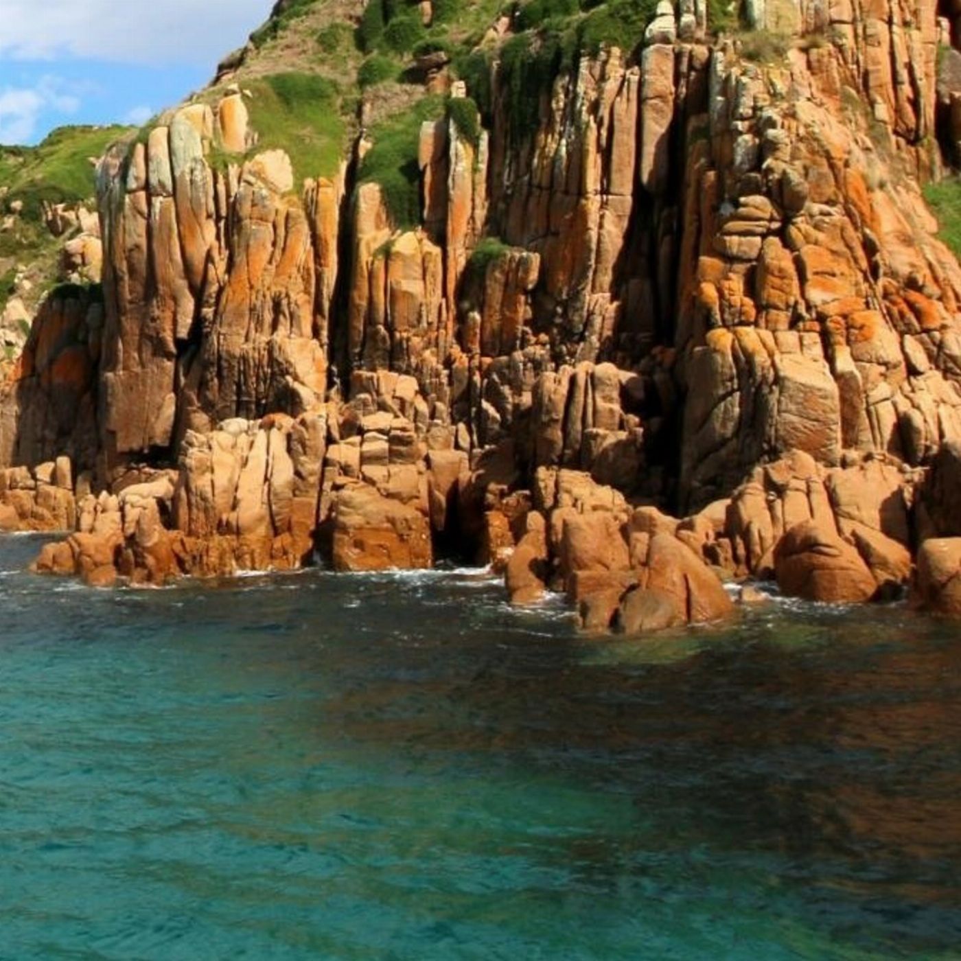 Wildlife Coast Cruises Cape Cruise