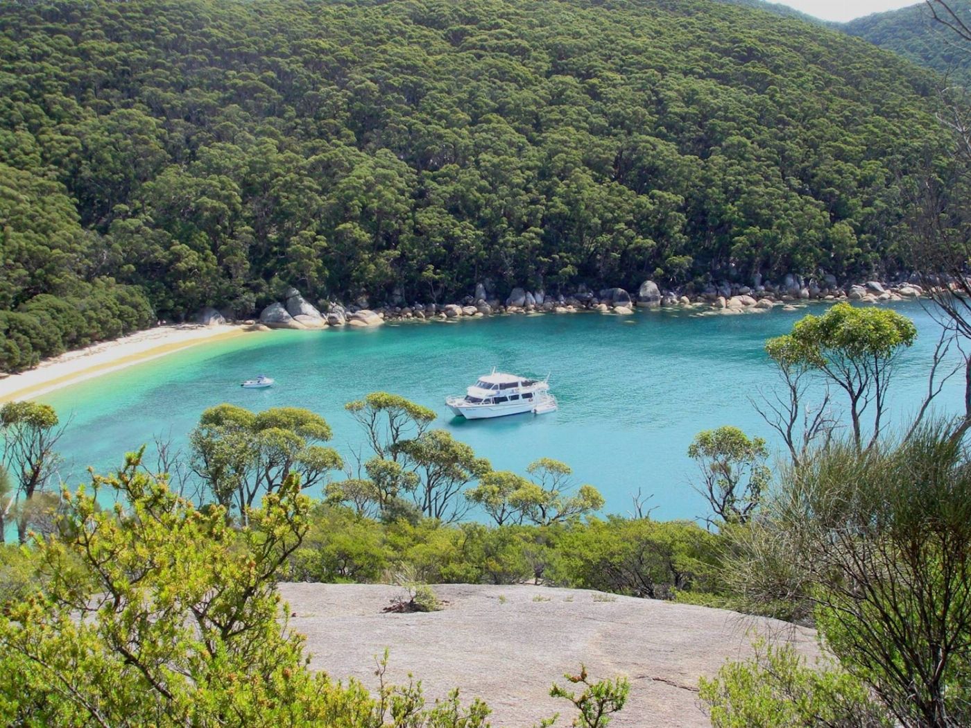 Wildlife Coast Cruises Wilsons Prom Full Day Cruise