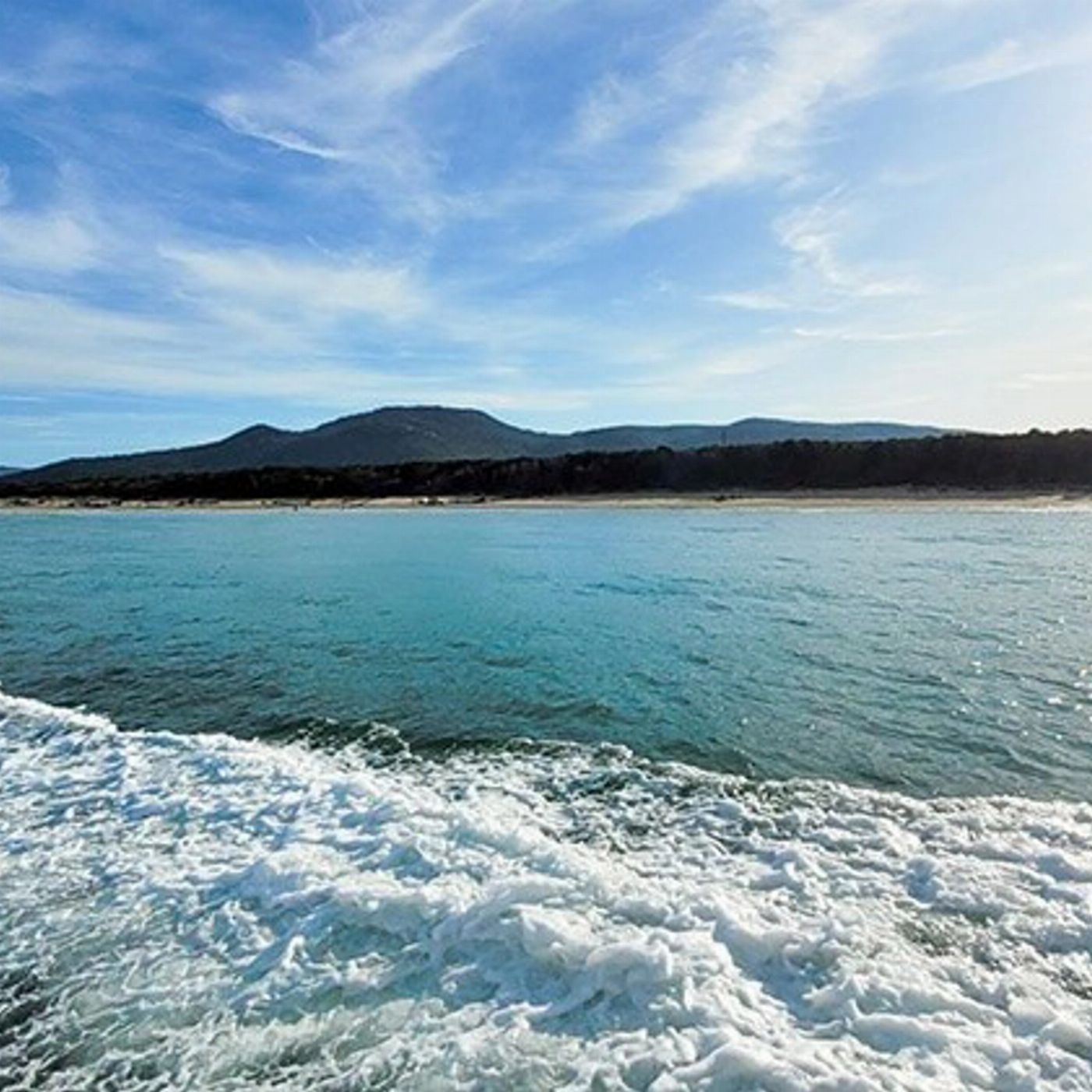 Wildlife Coast Cruises Wilsons Prom Whale Cruise