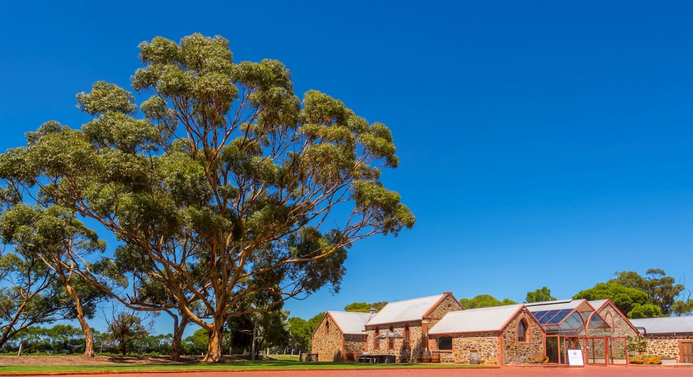 See Adelaide & Beyond McLaren Vale & Glenelg Afternoon Tour