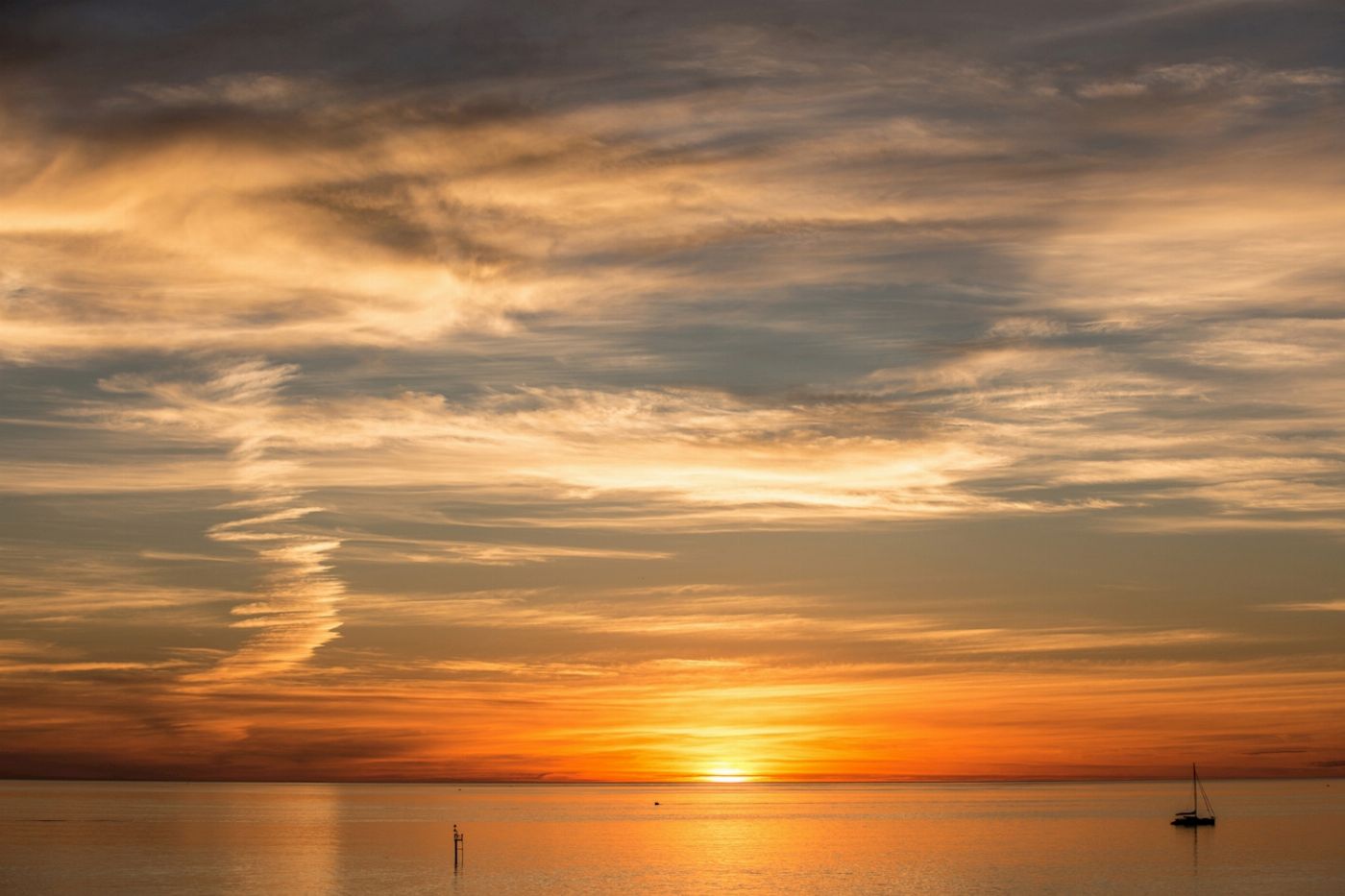 See Adelaide & Beyond McLaren Vale & Glenelg Afternoon Tour