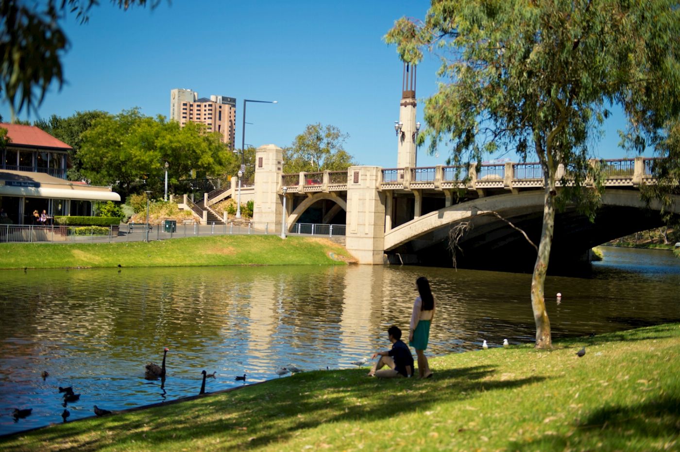 See Adelaide & Beyond Full Day Adelaide Highlights & Hahndorf Wine Tour