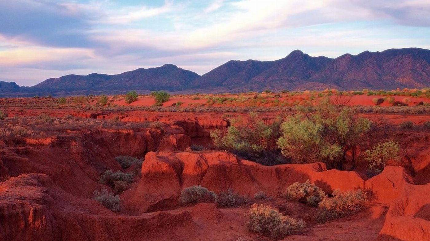 SA Eco Tours 3-Day Flinders Ranges & Outback Small Group Eco Safari - Standard Motel Unit, Double/Twin Share (Single)