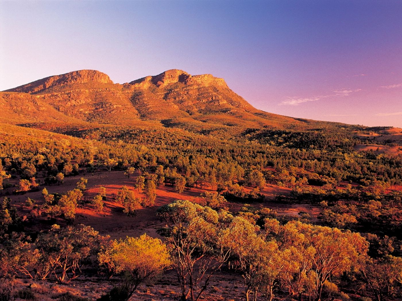 SA Eco Tours Lake Eyre & Flinders Ranges Small Group 4WD Eco Safari - Standard Motel Unit, Double/Twin Share (Single)