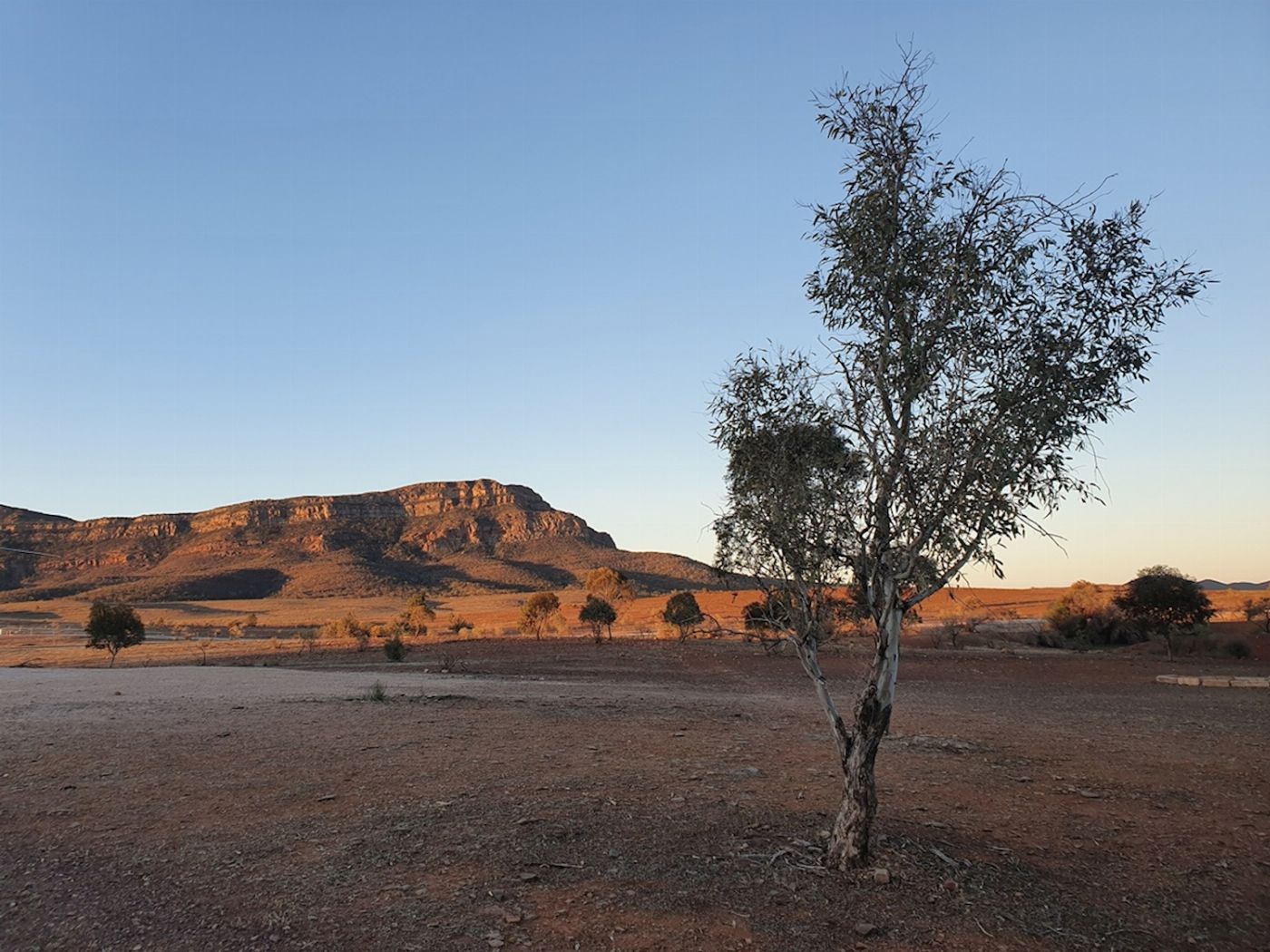 SA Eco Tours Lake Eyre & Flinders Ranges Small Group 4WD Eco Safari - Superior Motel Unit, Double/Twin Share (Single)
