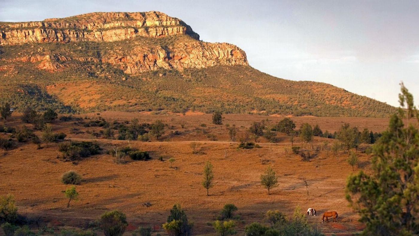 SA Eco Tours 3-Day Flinders Ranges & Outback Small Group Eco Safari - Superior Motel Unit, Double/Twin Share (Single)