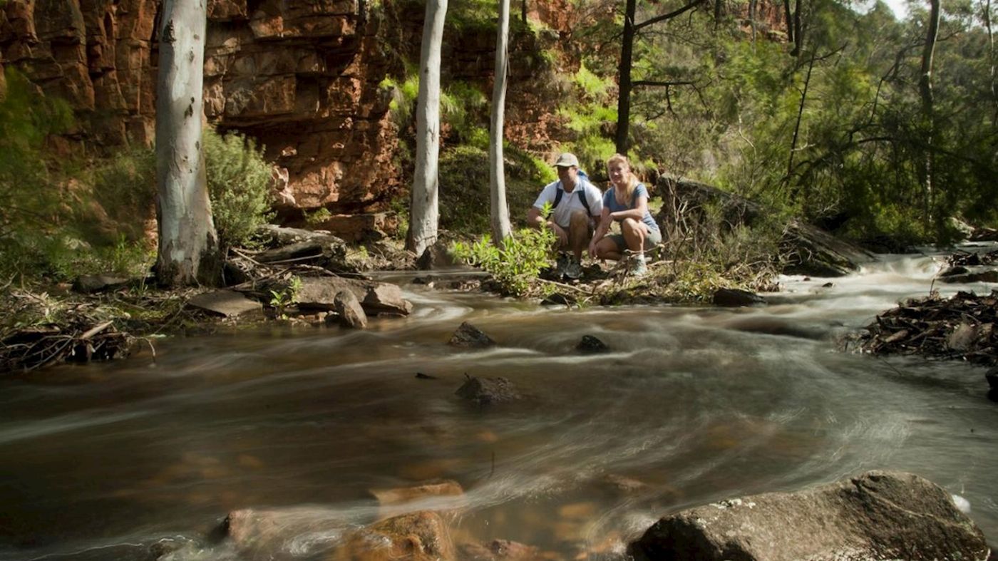 SA Eco Tours 3-Day Flinders Ranges & Outback Small Group Eco Safari - Superior Motel Unit, Single (Single)