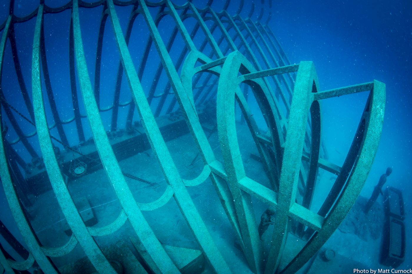 Adrenalin Dive Great Barrier Reef Day Trip incl MOUA (Certified Diver)