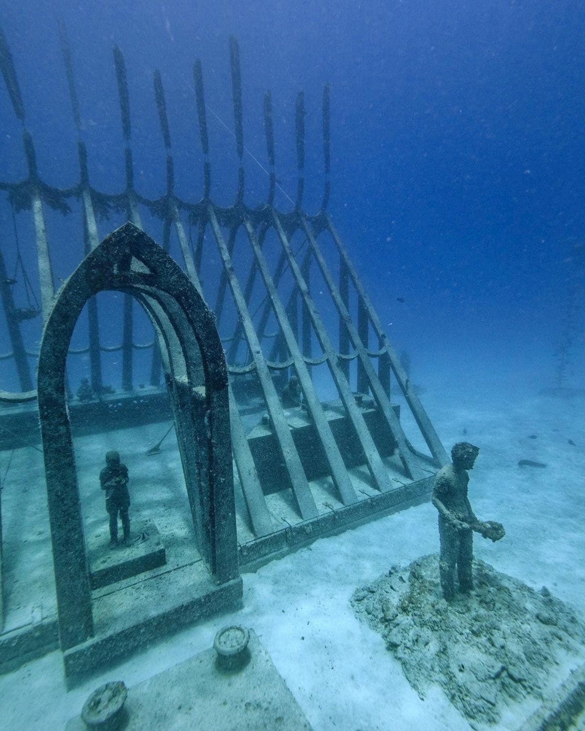 Adrenalin Dive Great Barrier Reef Day Trip incl MOUA (Certified Diver)