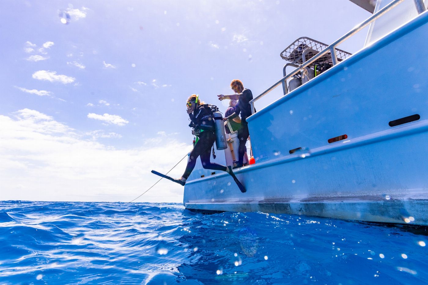 Adrenalin Dive Great Barrier Reef Day Trip (Certified Diver)