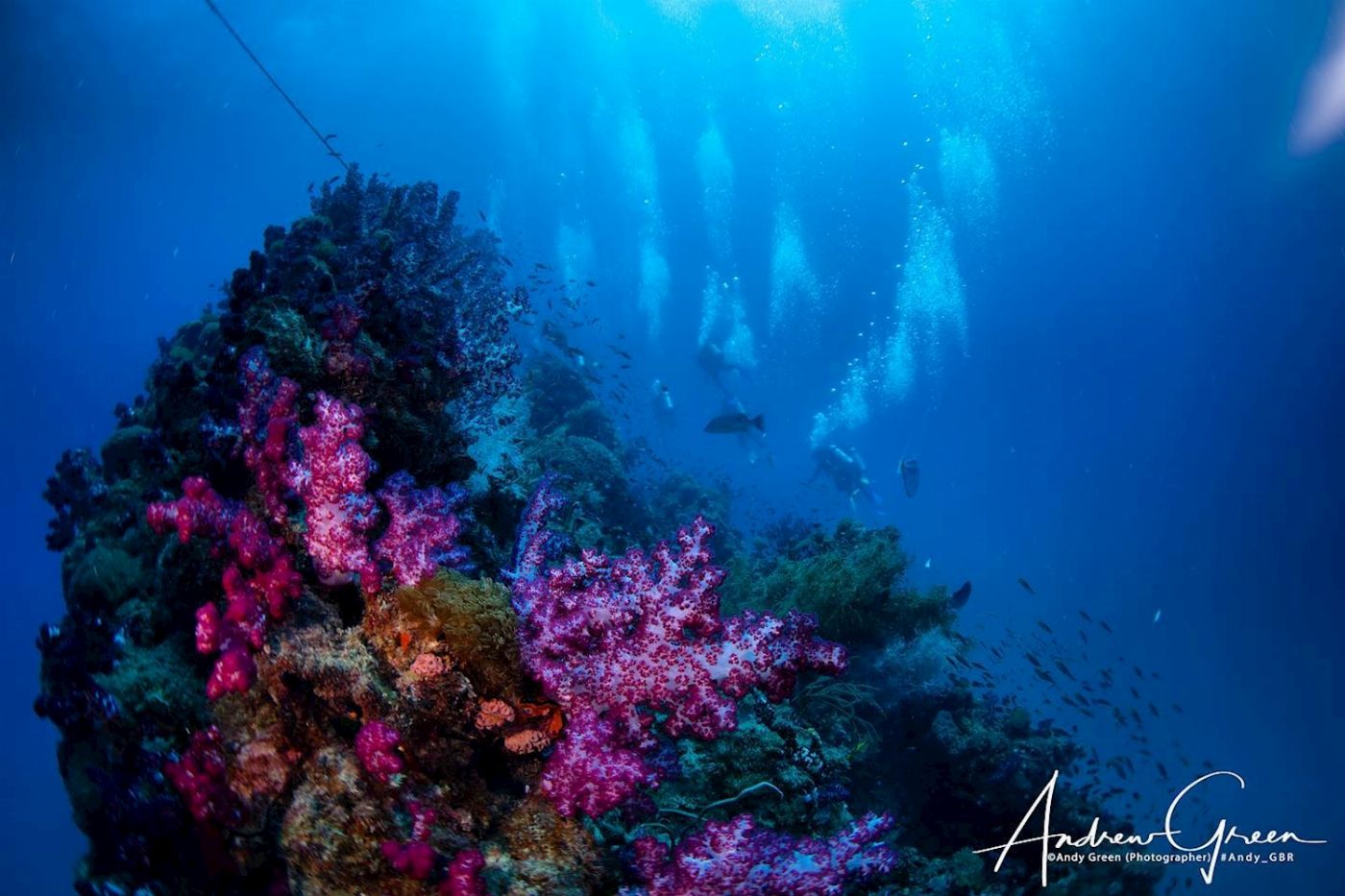 Adrenalin Dive Yongala Day Trip - Certified Diver