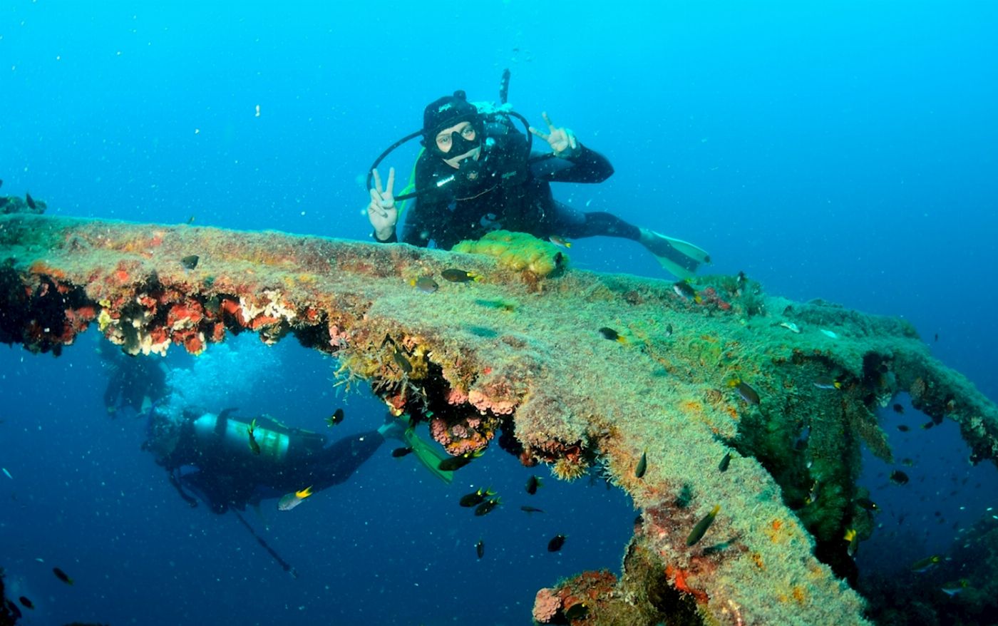 Adrenalin Dive Yongala Day Trip - Certified Diver