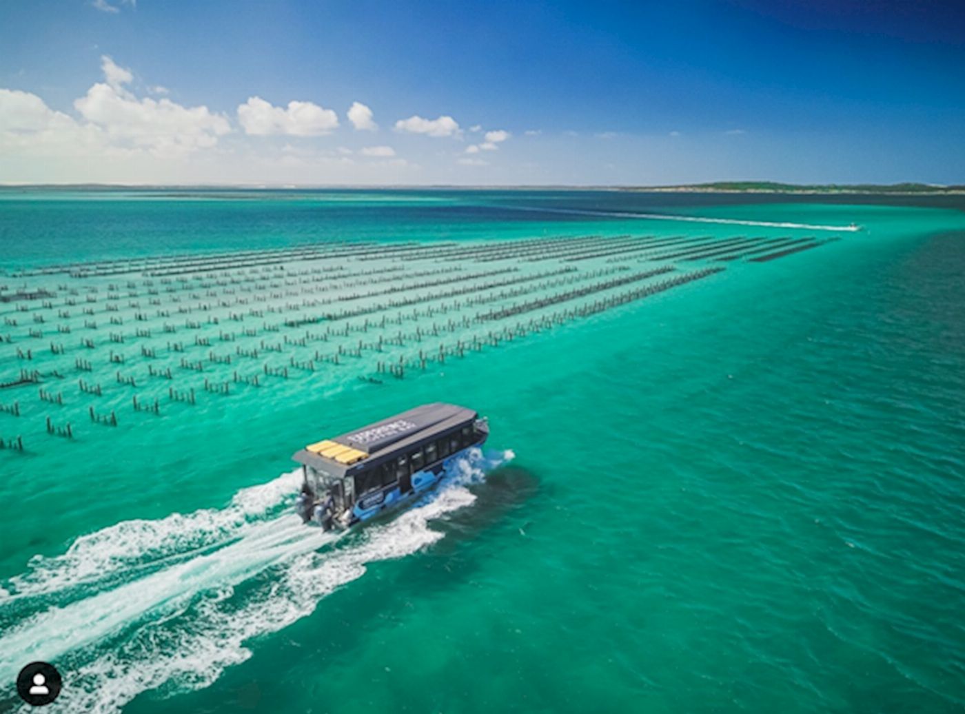 Experience Coffin Bay Oyster Farm and Bay Tour