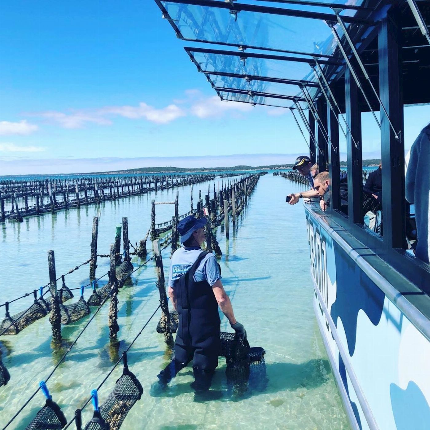 Experience Coffin Bay Oyster Farm and Bay Tour