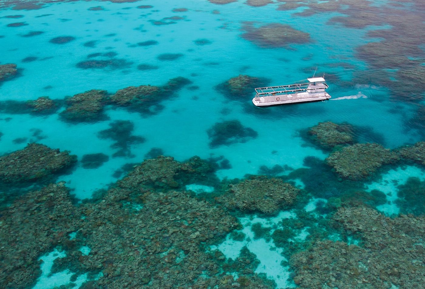 Quicksilver Cruises Quicksilver Agincourt Reef Pontoon Tour