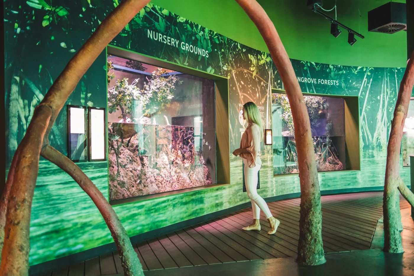 Cairns Aquarium General Admission (Family)