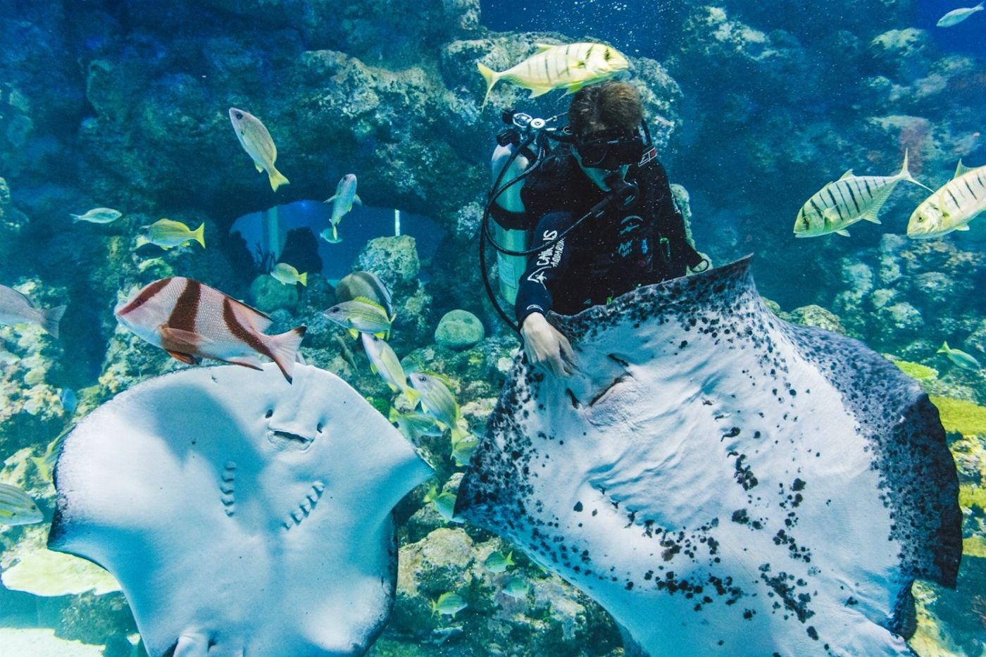 Cairns Aquarium General Admission (Family)