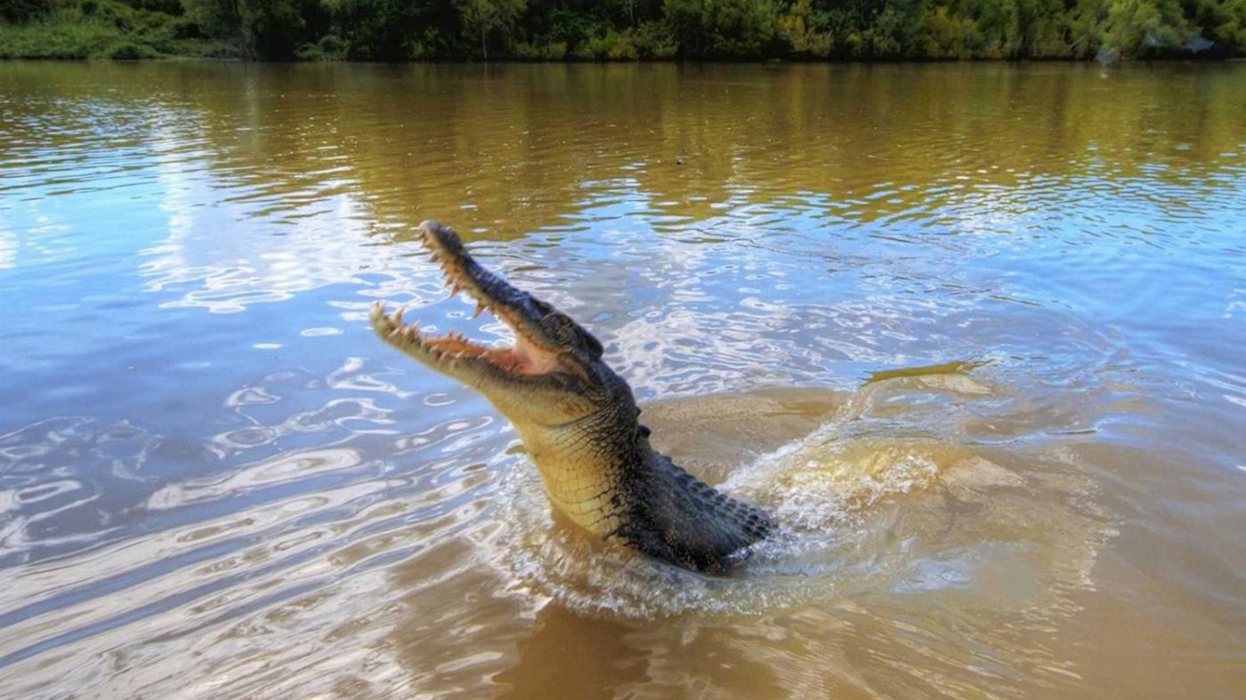 AAT Kings Darwin City Sights plus Jumping Crocs