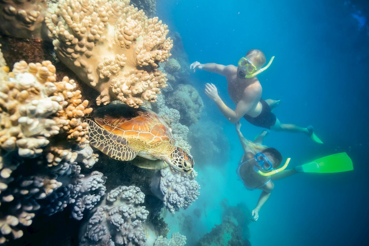 Great Adventures Green Island (Ferry Transfers Only)
