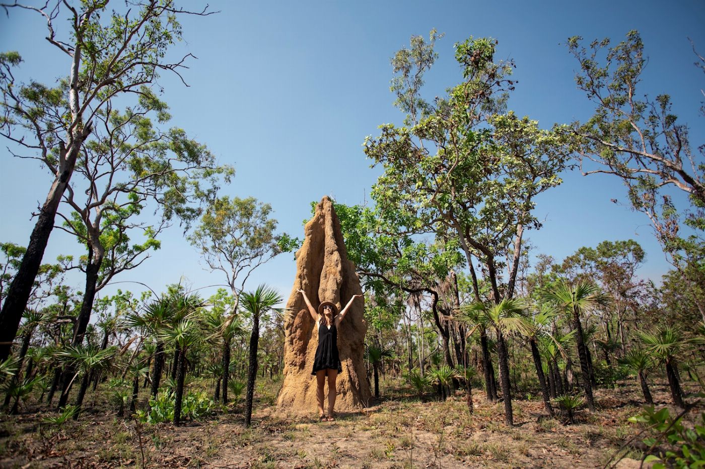 Autopia Tours Litchfield National Park + Crocodile Cruise