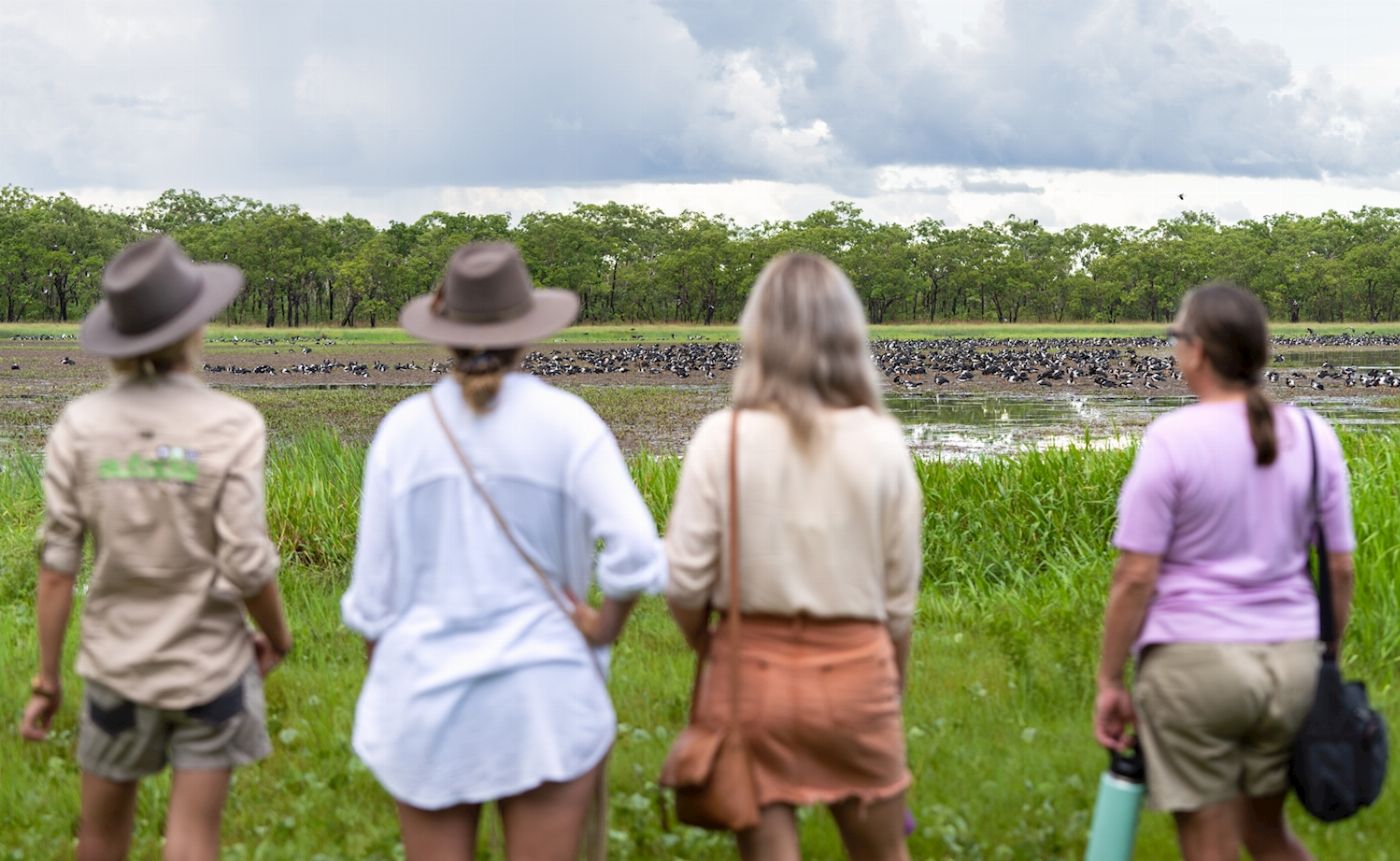 Autopia Tours Jumping Crocodile Tour (Half Day)
