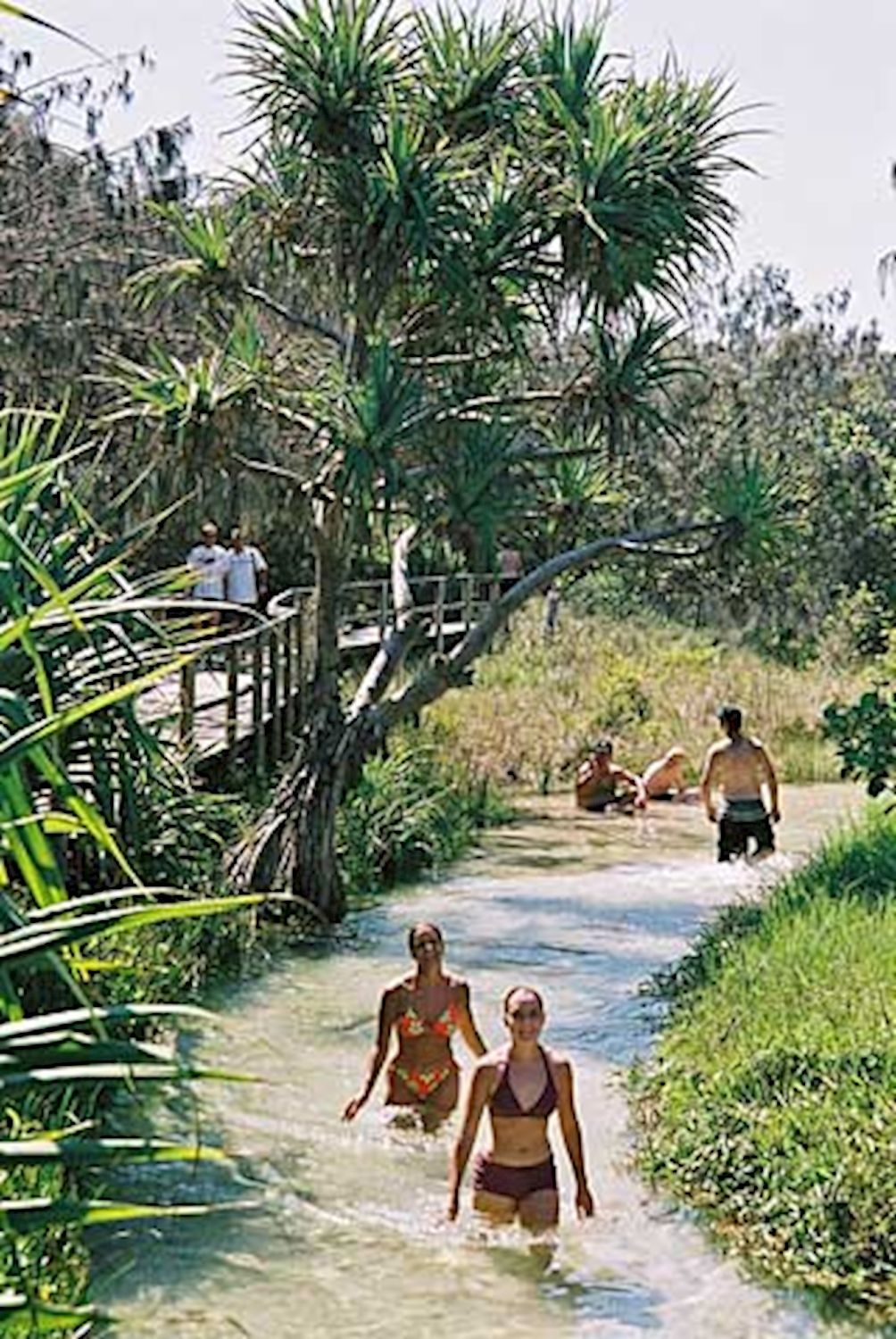 Bushwacker Eco Tours Fraser Island 2-Night 4WD Adventure (Camping)