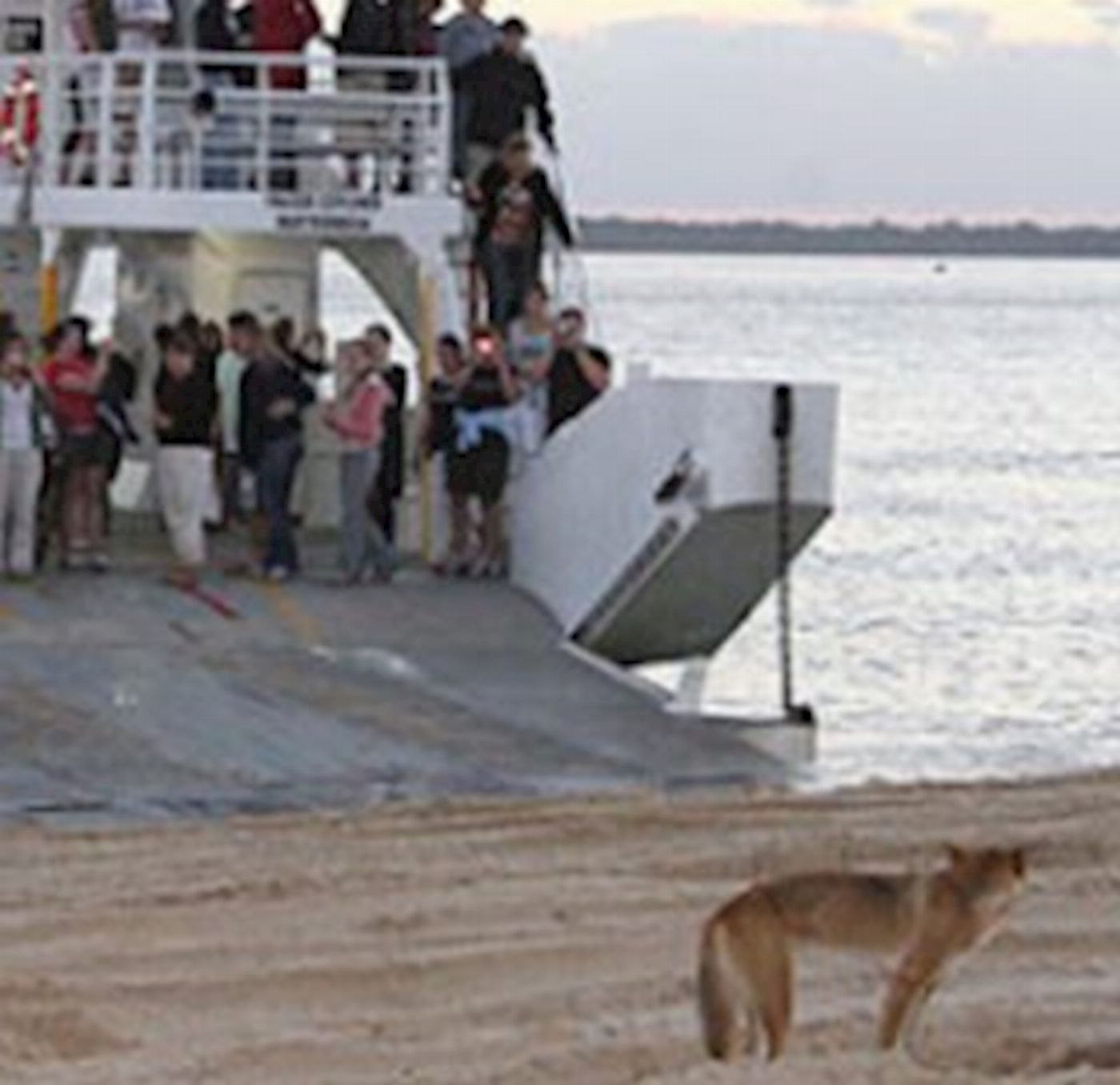 Bushwacker Eco Tours Fraser Island 2-Night 4WD Adventure (Camping)