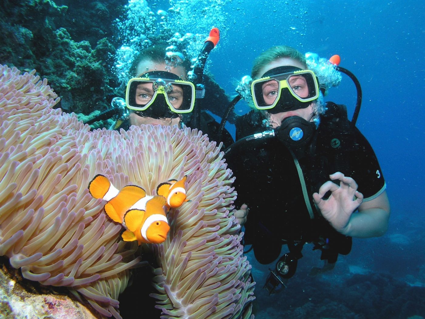 Pro Dive Cairns Divemaster Course