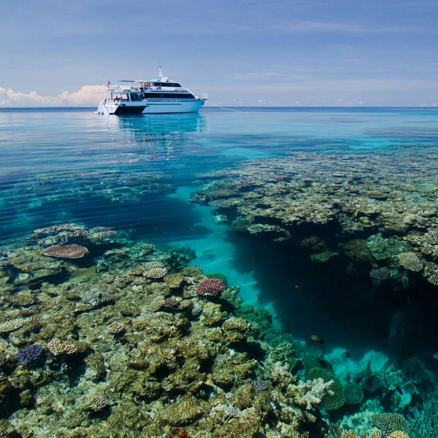 Pro Dive Cairns Divemaster Course