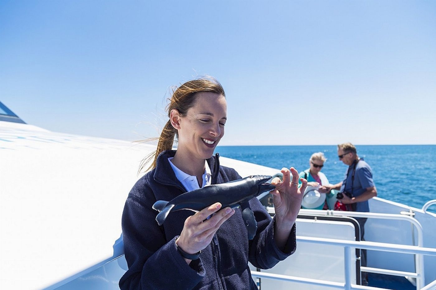 Rottnest Fast Ferries 2 Hour Whale Watching Cruise from Hillarys Boat Harbour