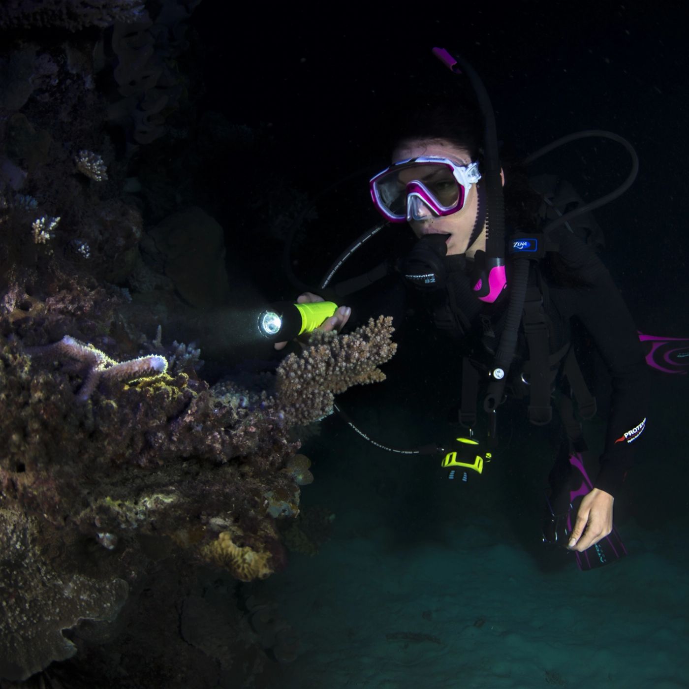 Pro Dive Cairns Learn to Dive Course (PADI 4 Day Learn to Dive | E-learning + 1 Day Classroom + 3 Day/2Night Liveaboard)