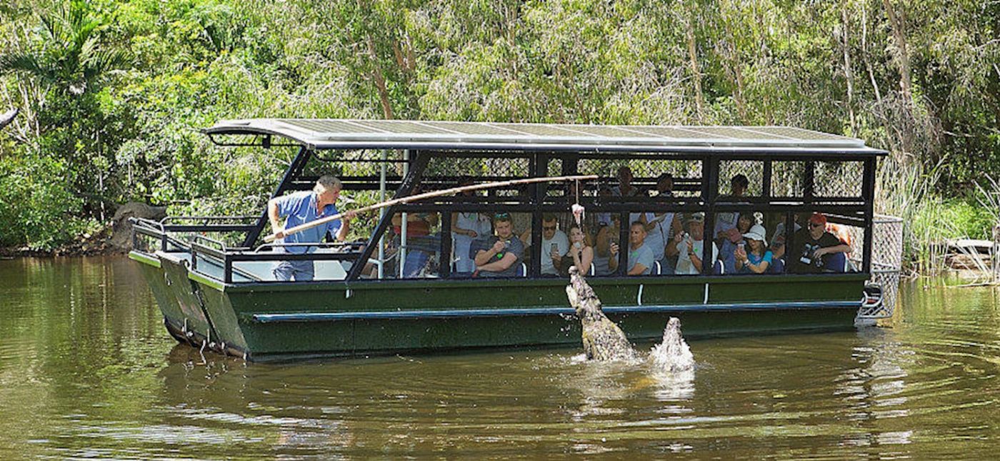 Hartley's Crocodile Adventures Park Entry (No Transfers) - Family Rate price per person