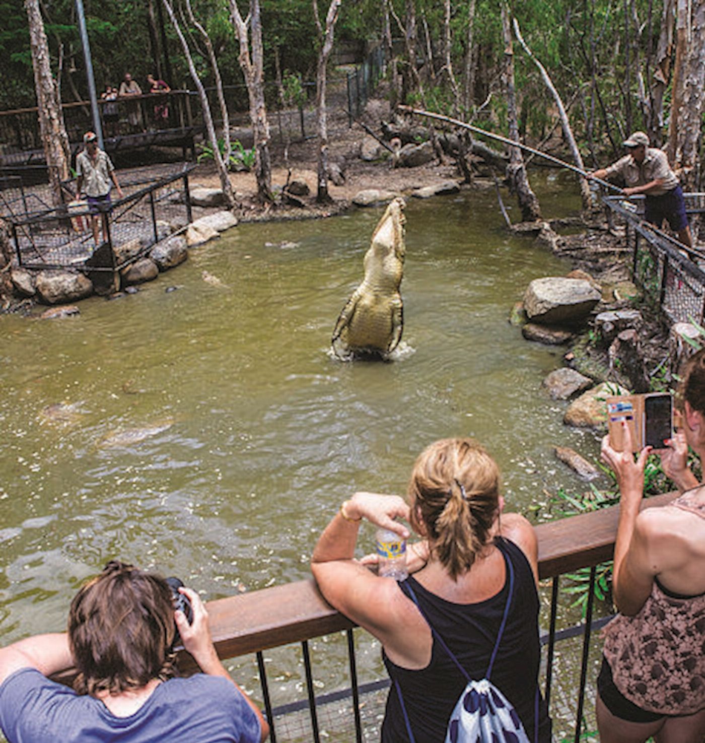 Hartley's Crocodile Adventures Park Entry (No Transfers) - Family Rate price per person