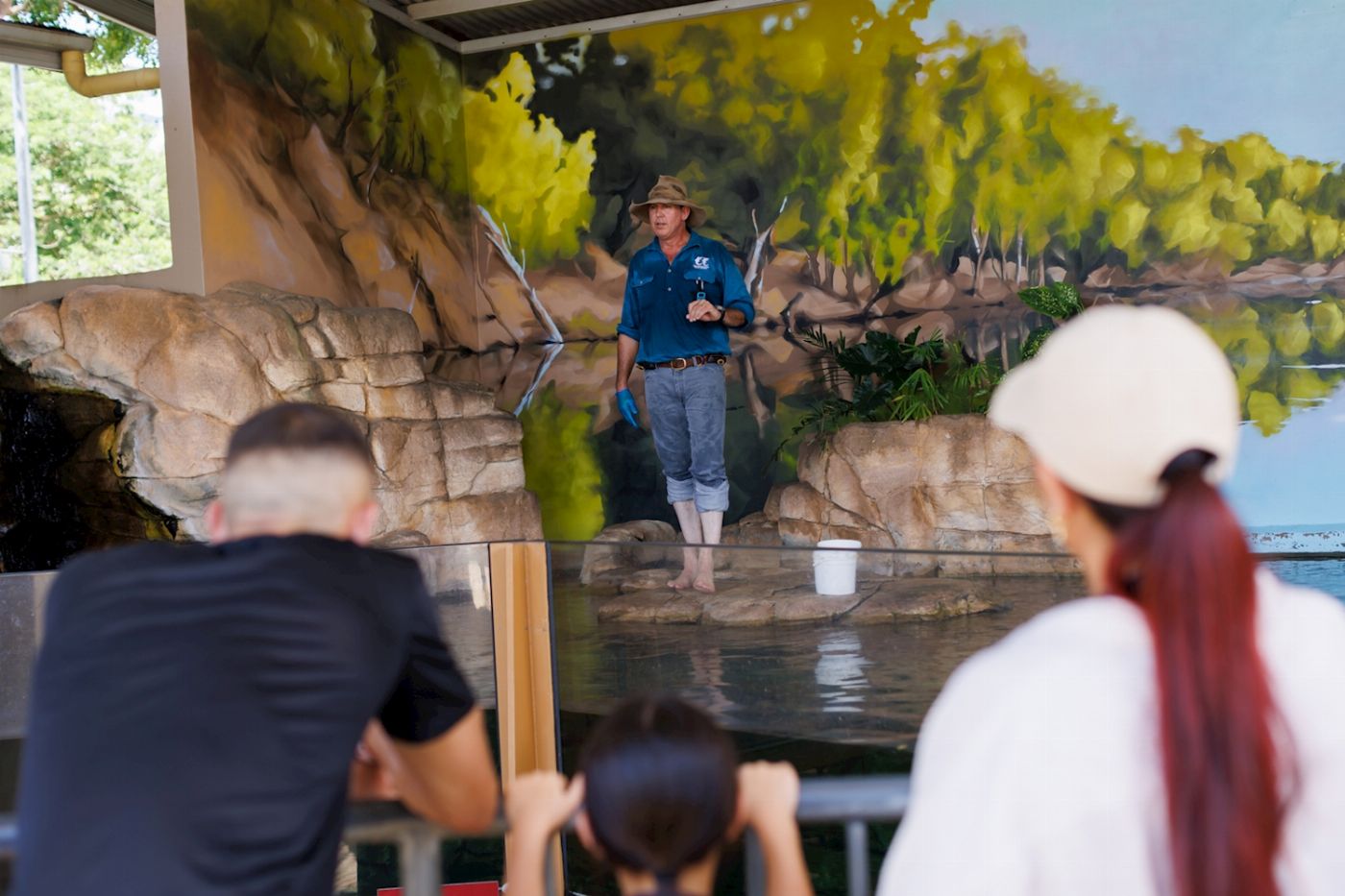 Crocosaurus Cove Whipray Encounter