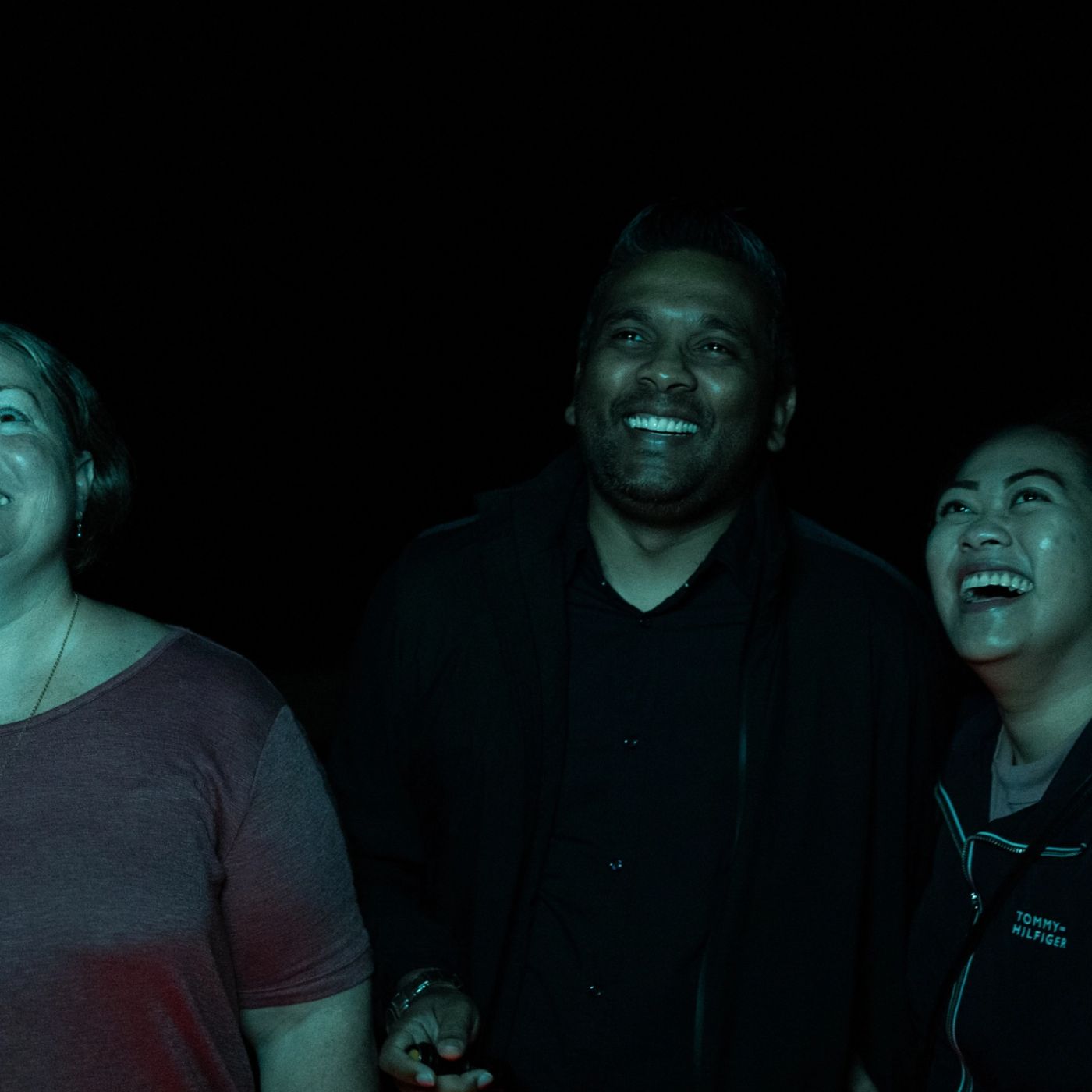 Southern Cross Tours Evening Rainforest & Glow Worm Experience