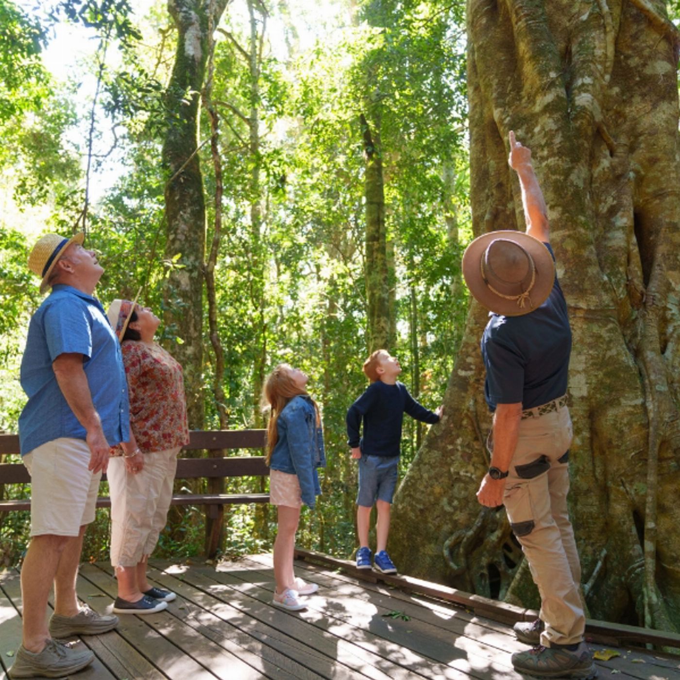 Southern Cross Tours Lamington National Park, O'Reilly's & Vineyard Tour