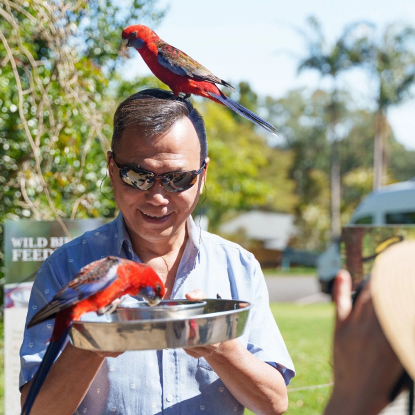 Southern Cross Tours Lamington National Park, O'Reilly's & Vineyard Tour