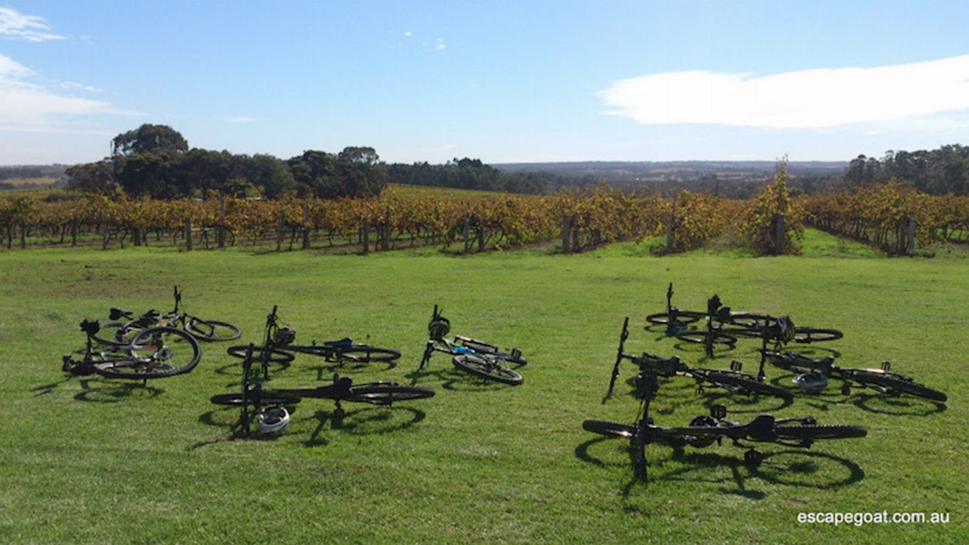 Escapegoat Adventures McLaren Vale Bike & Wine Tour