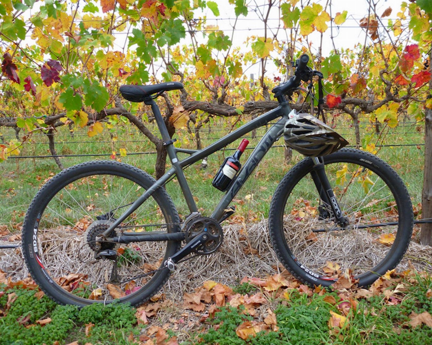 Escapegoat Adventures McLaren Vale Bike & Wine Tour