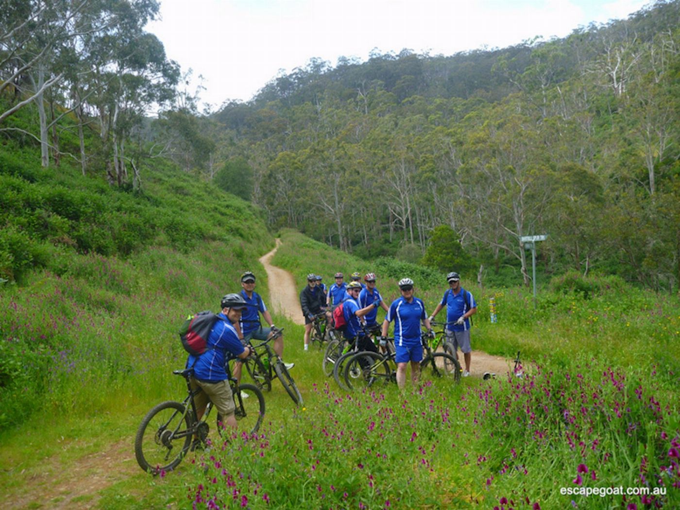 Escapegoat Adventures Lofty Descents by Bike