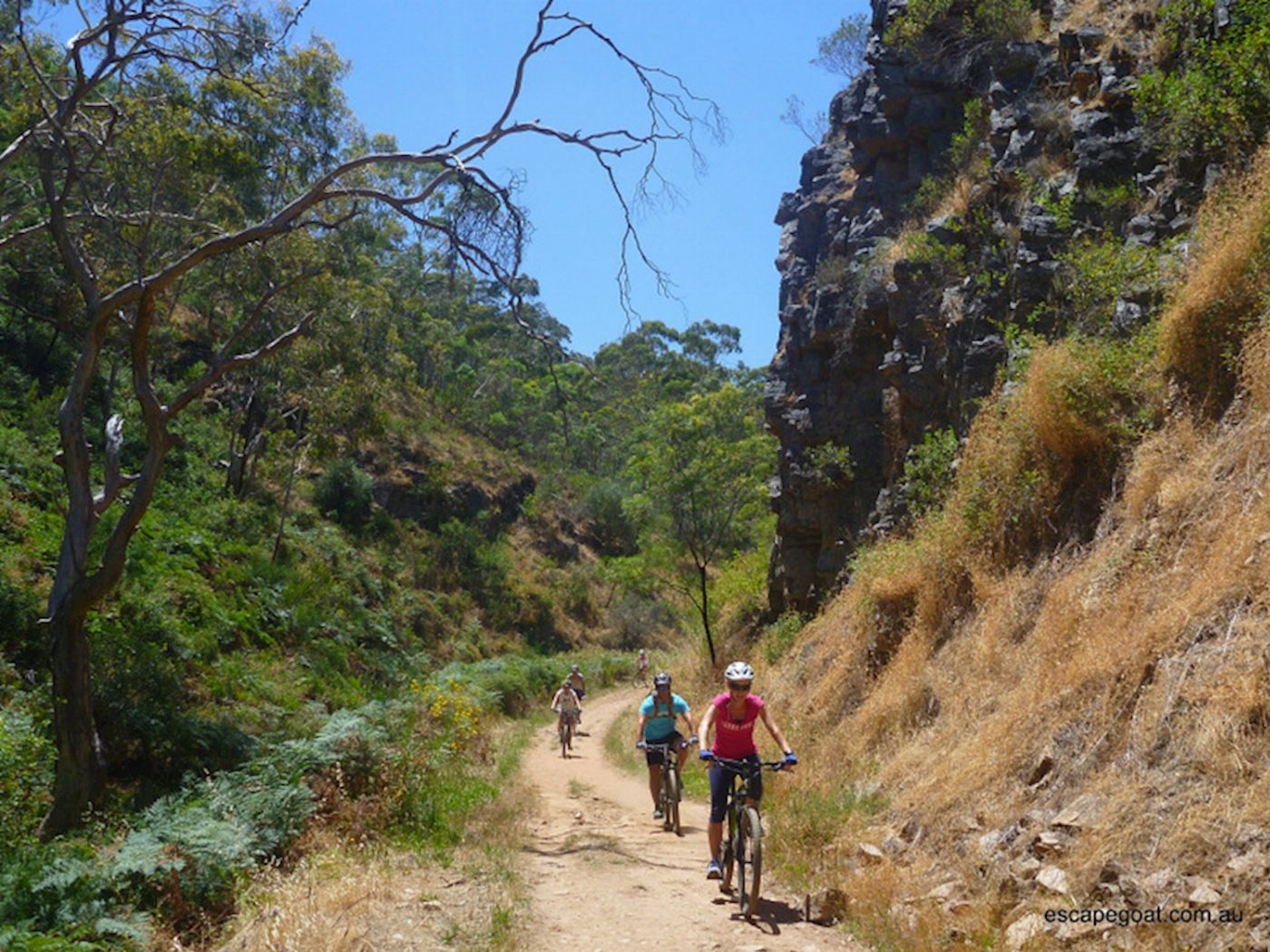 Escapegoat Adventures Lofty Descents by Bike